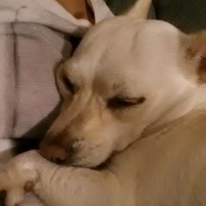 Meet your Posher, Diane